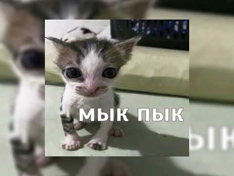 Видео: Музыка для флешмоба #музыка #flash #дуэт #fyr #fyp #flashmob 