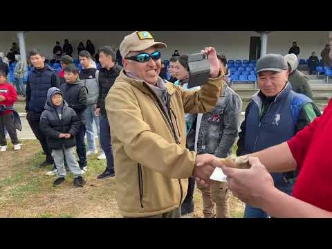 Видео: Ломание хребтовой кости в Калмыкии