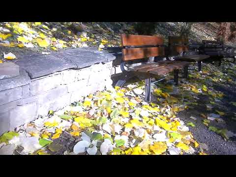 Видео: Паркът към хотел ,, Люляците ,, Красива природа , чист планински въздух и място за разходка и релакс