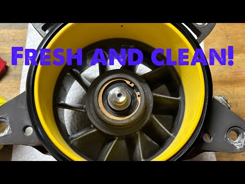 Видео: Ремонт водометного насоса Sea Doo (это может сделать каждый!)