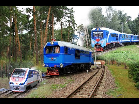 Видео: Тепловозы ТУ2-129, ТУ10-032 и ТУ2-241 на ММЖД