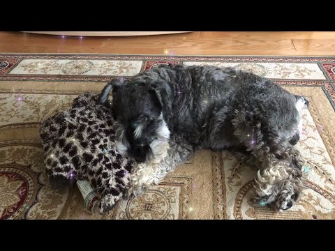 Видео: Как же я устал...