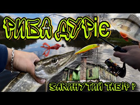 Видео: Початок пригод! Рибалка, уха і закинутий табір біля річки!