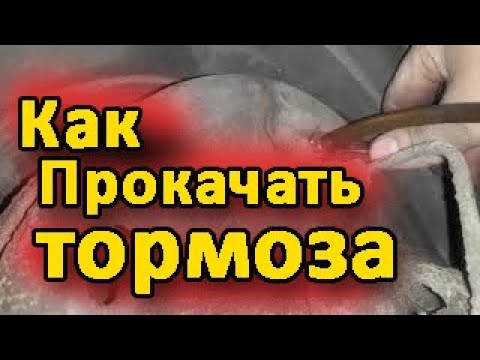 Видео: Как прокачать тормоза на автомобиле форд транзит