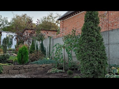 Видео: Виправляю помилки. Викопуємо, корчуємо, саджаємо. Зміни в закуточку подвір'я.