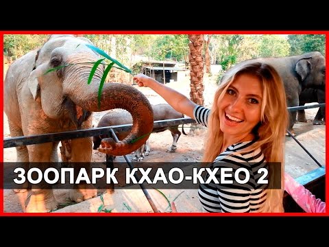 Видео: ЗООПАРК КХАО-КХЕО 2 - АТАКА ОБЕЗЬЯН! KHAO KHEOW OPEN ZOO В ПАТТАЙЕ, ТАЙЛАНД ☼