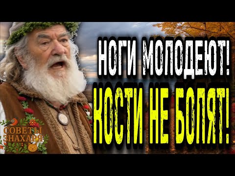 Видео: Ноги болят! Кушать и слушать это после 60 и силы вернуться. ЗНАХАРЬ