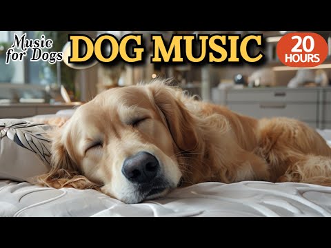 Видео: 24 часа успока-ивающей музыки для собак🐶💖Музыка, которую любят собаки🦮🎵Идеально, когда одни