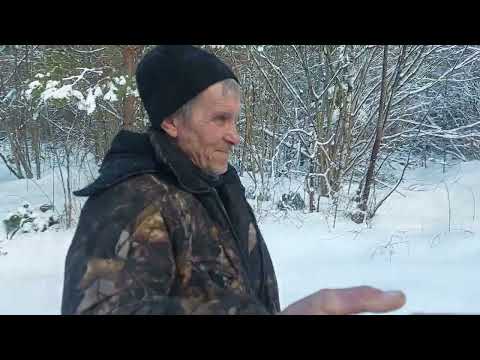 Видео: Борисовские межрайонные испытания гончих 04/03/2023 Часть 1