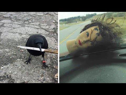 Видео: Никто не поверит, почему ты опоздал!