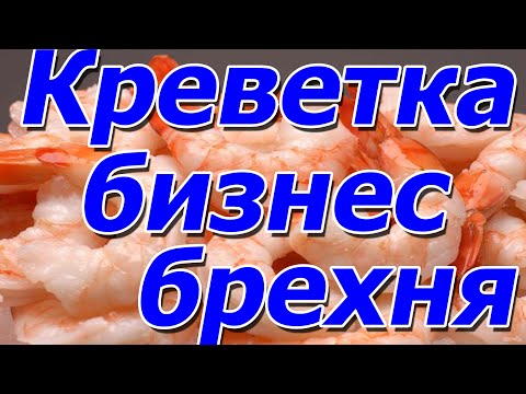 Видео: Поговорим : креветка - бизнес брехня, отвечаю !