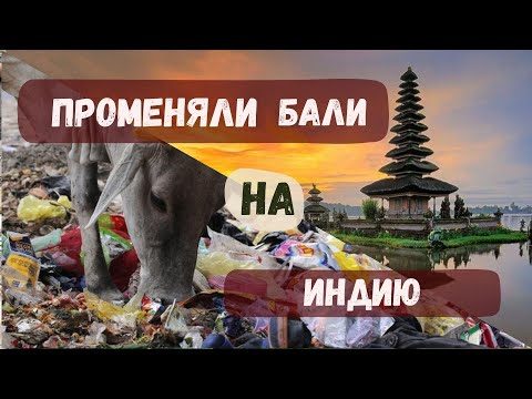 Видео: Жить в Индии лучше чем на Бали!