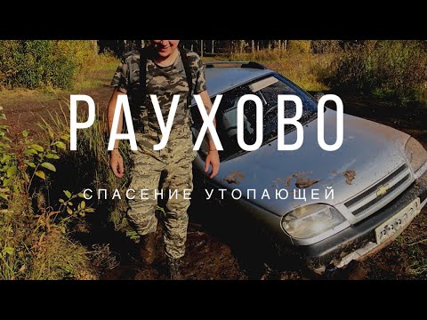 Видео: [Раухово] Такой огромной рыбы я еще не видел! Спасение утопающей.