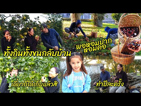 Видео: Мне повезло быть в Испании...6 октября 2025 г.