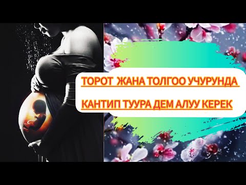 Видео: Торотто кантип туура ыйынуу керек!( Бетке эмес )