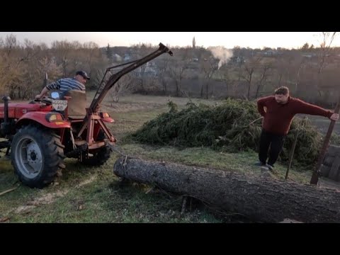 Видео: 👍 Ювелірна робота професіонала.😱 Небезпечне спилювання дерев. Матеріал для пилорами.