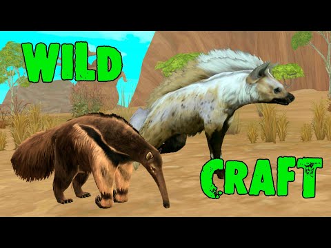 Видео: В ожидании 11 сезона 🌺 WildCraft