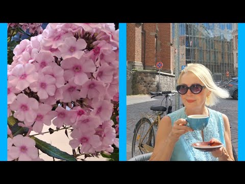 Видео: Что происходит в центре Риги?//Триггерная точка//Выставка флоксов//Заказ готов👌