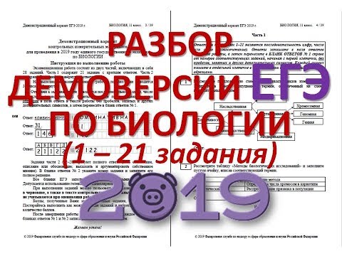 Видео: ДЕМОВЕРСИЯ ЕГЭ ПО БИОЛОГИИ 2019 ( 1-21 задания)