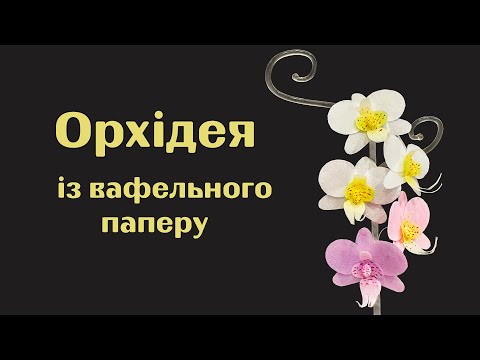 Видео: Орхидея из вафельной бумаги, для декора торта