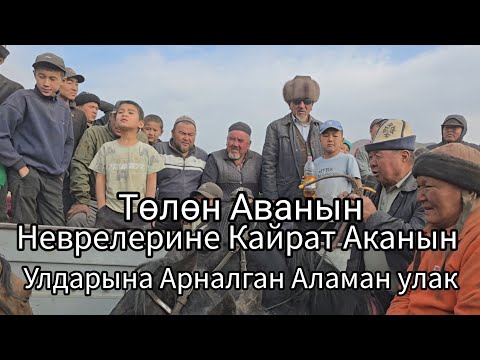 Видео: 12  октября 2025  Кайрат Аканын  улдарына элден бата алу максатынд өткөрүлгон аламан улак