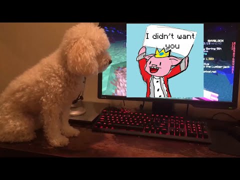 Видео: Technoblade влюбляется в Floof.