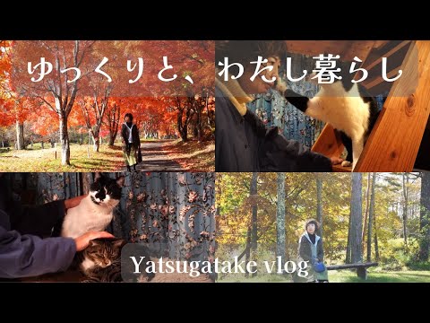 Видео: 【🍃Эпизод 217】Возрождение моего сада — это возрождение моего сердца ~ Это не преувеличение