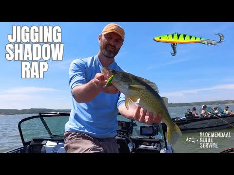 Видео: Ловля судака с новой любимой наживкой — Jigging Shadow Rap