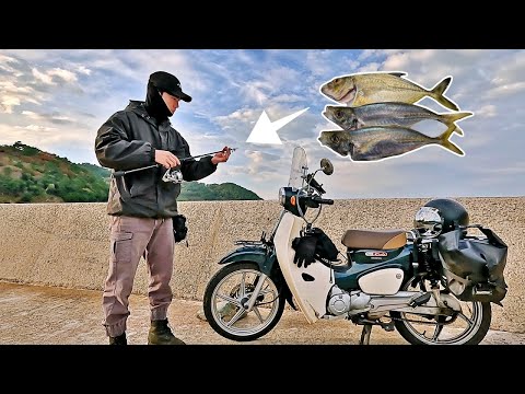 Видео: 2 ночи рыбалки на небольшом корейском острове [ 110cc мотоцикл кемпинг ]