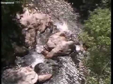 Видео: Трънският край, Ждрелото и река Ерма