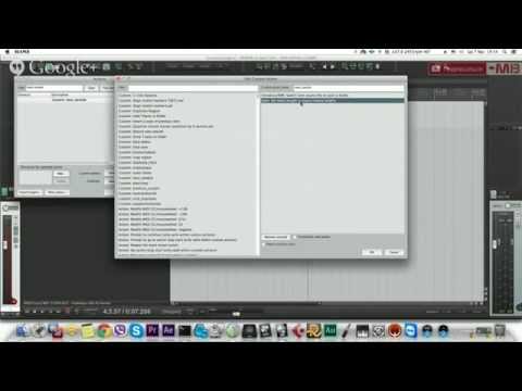 Видео: АЛЕКСЕЙ РАЗУМОВ БЛИЖЕ К REAPER