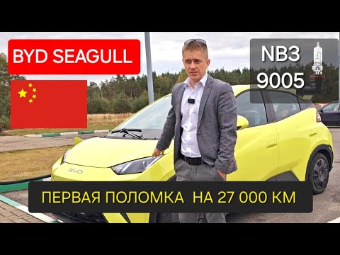 Видео: Byd seagull  первая поломка на 27 тыс. км . Замена галогеновых лампочек на диодные .