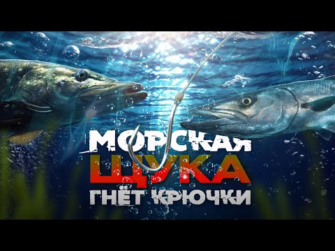 Видео: СТОЛЬКО МОРСКИХ ЩУК ЗА ОДНУ РЫБАЛКУ ЕЩЁ НЕ ЛОВИЛИ! Морская рыбалка с берега.