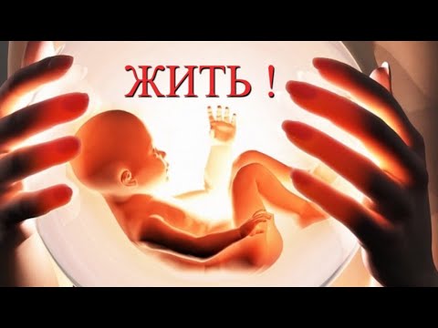 Видео: Мама, Папа  я жить хочу! Климковский Крестный ход 2022г.  Мы против абортов!