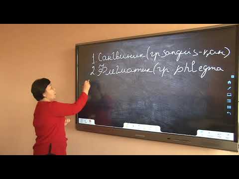 Видео: Арыстанбекова Г Темперамент