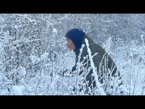 Видео: ТУҺАХТАРБЫН ХАП ХААННАРБЫН КӨРӨН КЭЛЛИМ.