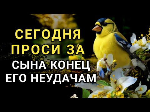 Видео: ☝️🔑 ПРОПУСТИТЬ СЕГОДНЯ НЕЛЬЗЯ Молитва за сына защита над ним Молитва будет молитвенным щитом 🤲✨💯
