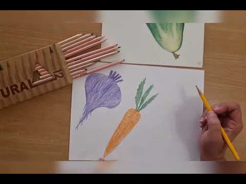 Видео: Заняття з малювання "Овочі" (старша група).