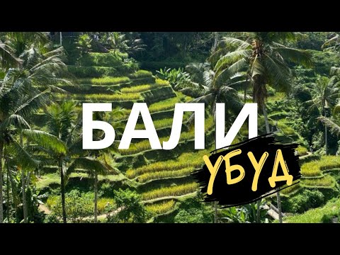 Видео: Бали - Самый желанный остров в мире!