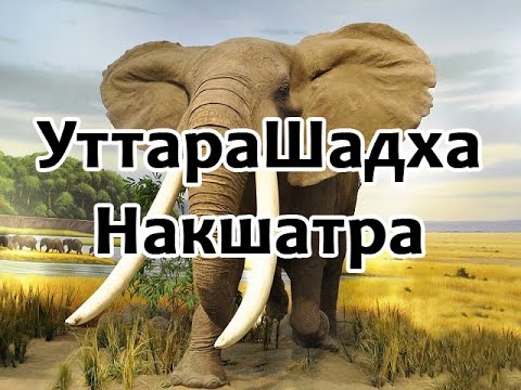 Видео: Секреты накшатр - Уттарашадха Накшатра