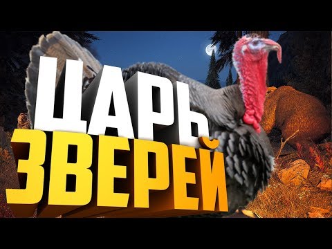 Видео: Far Cry 5 #1  - Нарезка багов и неудач