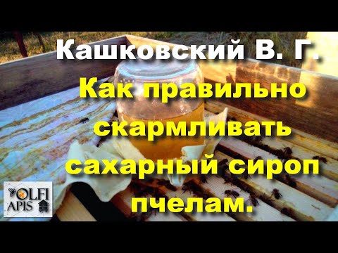 Видео: #Кашковский В. Г. Как правильно скармливать #сахарный_сироп пчелам.