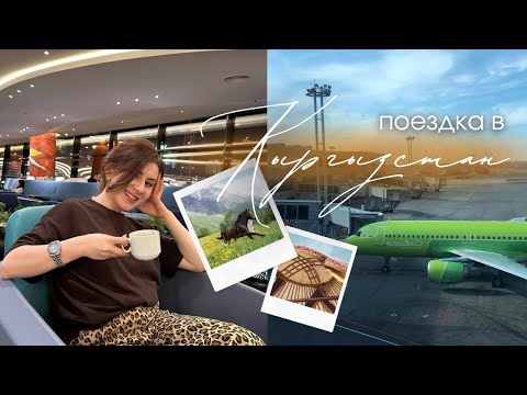 Видео: Летим к бабушке в Кыргызстан. Бизнес зал в аэропорту Шереметьево - ожидание/реальность