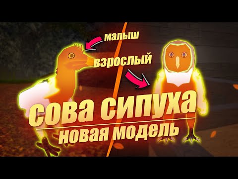 Видео: 🐤СОВА СИПУХА Новая Модель 2023 Семья Птиц Роблокс 🐤Roblox Feather Family OWL BARN New Model