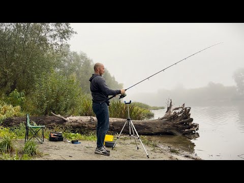 Видео: Рибалочка на Десні 🐟 Осінь. Жовтень 2024!  Пухівка. Дощ. Фідер і не тільки. 🎣