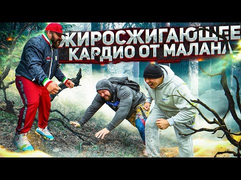 Видео: ЖИРОСЖИГАЮЩЕЕ КАРДИО ОТ МАЛАНА