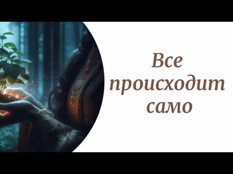 Видео: Все происходит САМО