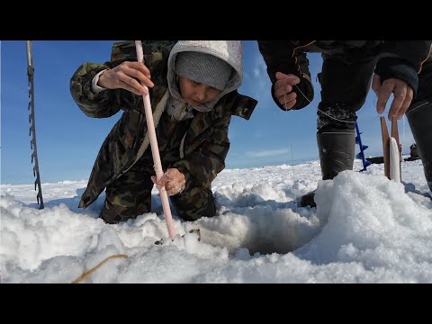 Видео: краб 2025, ВКУСНО ням-ням..