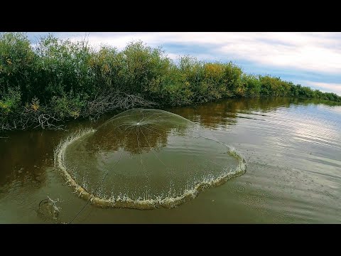 Видео: Ловля рыбы кастинговой сетью с лодки, улов как всегда радует.Рыбалка 2021.