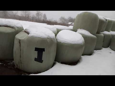 Видео: Наше хозяйство на конец 2020 года,